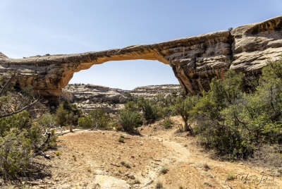 Natural Bridges Preserve June 2025